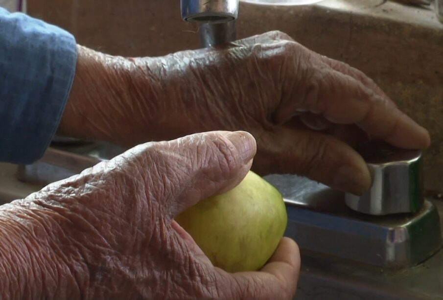 Lavando manzana