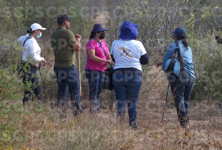 Hallazgo de una osamenta humana en Todos Santos por grupo de búsqueda.