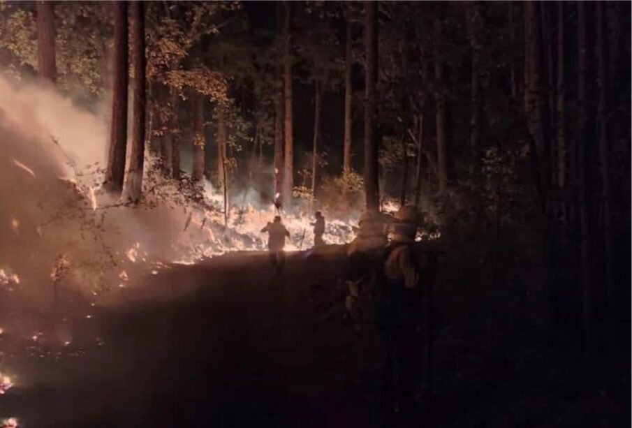 Bomberos combatiendo incendio forestal durante la noche