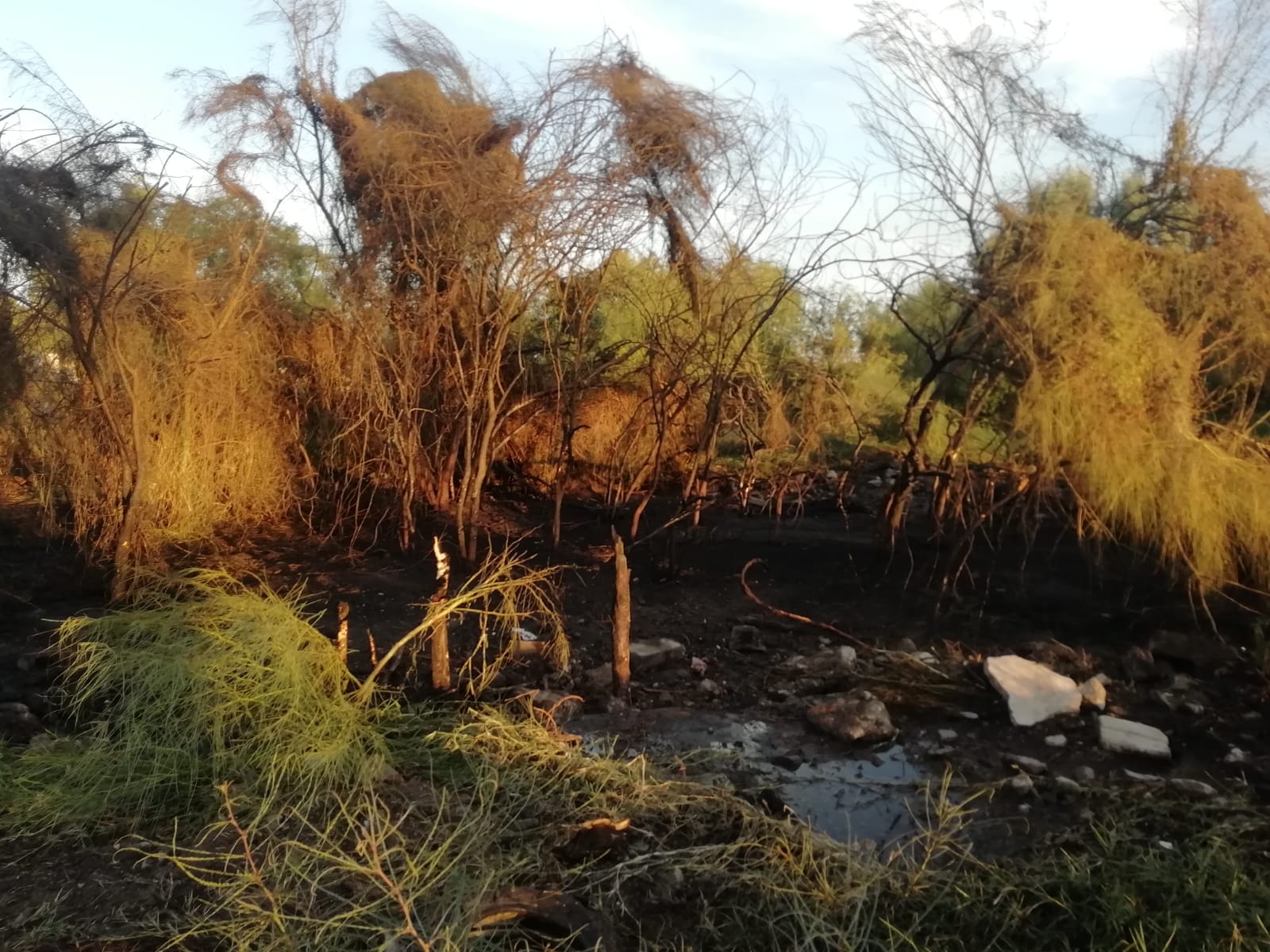 Zona quemada por un incendio junto al Eco Parque en La Paz.