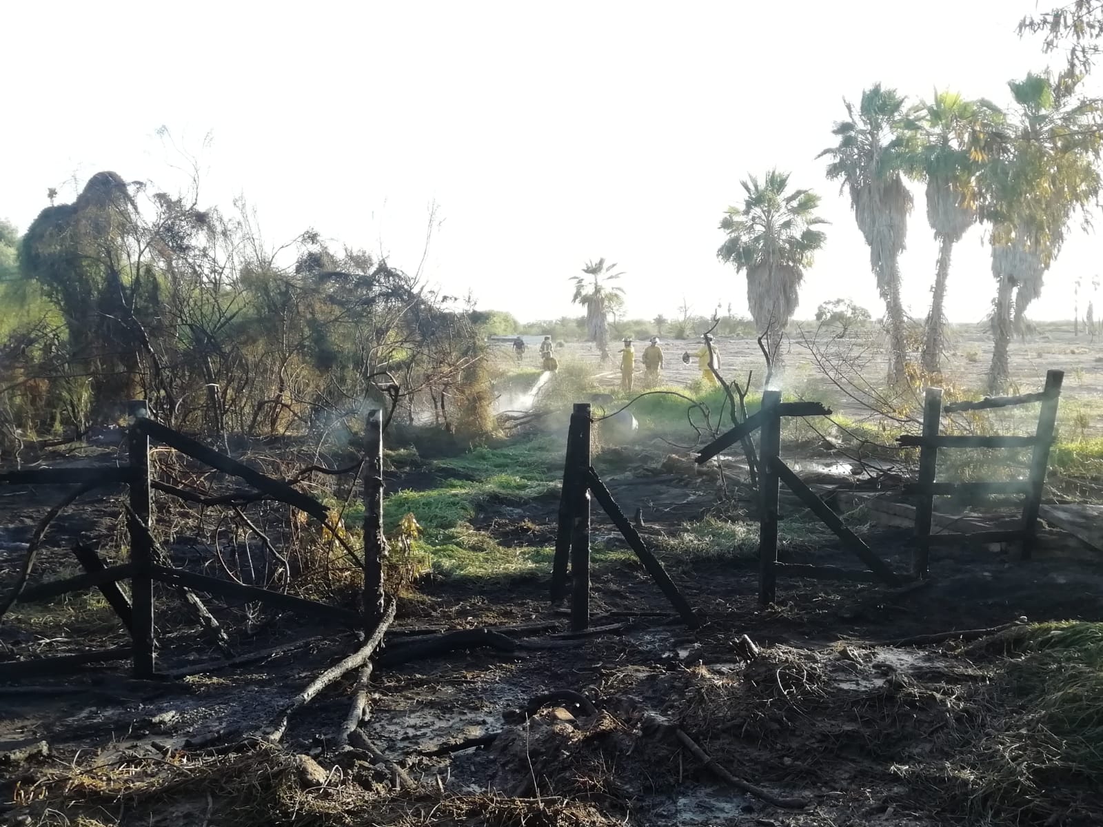 Zona quemada por un incendio junto al Eco Parque en La Paz.