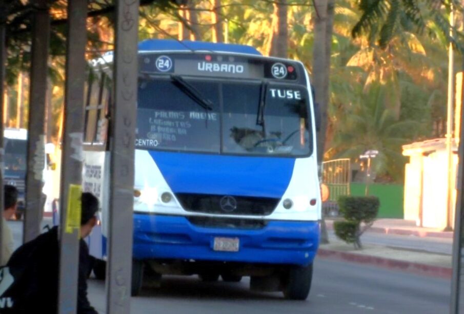 Unidades del transporte público de Los Cabos