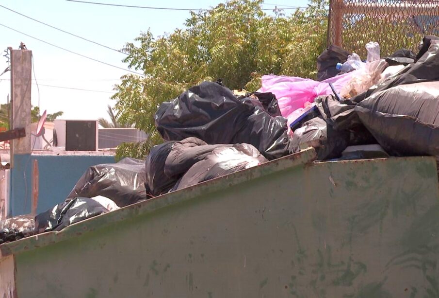 Reportan basura en colonia Lienzo Charro, La Paz