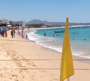 Zofemat exhorta a cuidar colores de bandera en playas