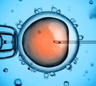 fecundacion in vitro