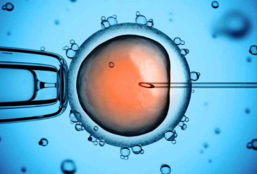 fecundacion in vitro