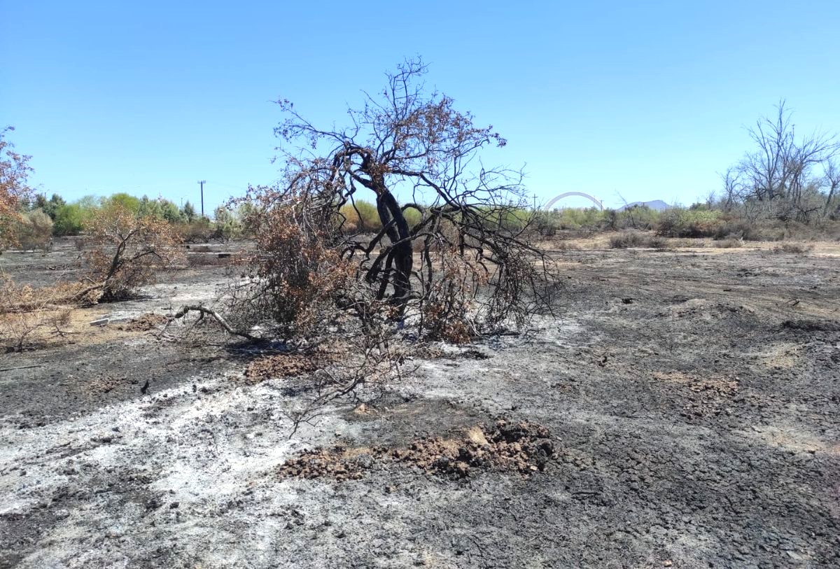 Incendios en los alrededores de Ecoparque