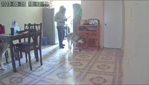 Imagen de video que capta a ladrón robando