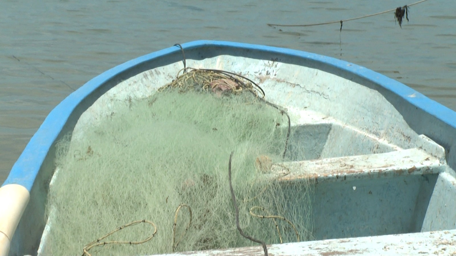 Pescadores de Comondú, BCS