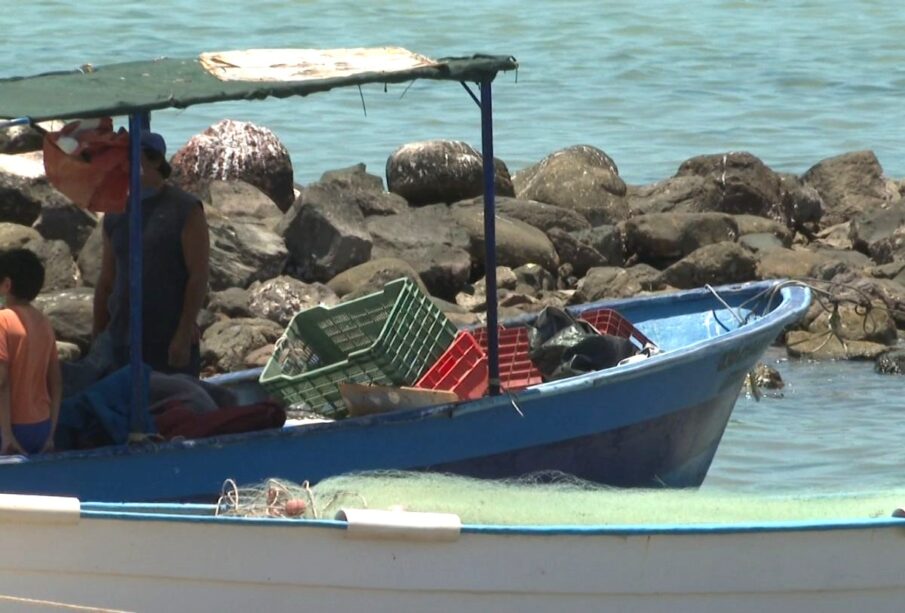 Pescadores de Comondú son obligados por el crimen a regalar sus productos