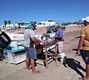 Pescadores reciben Seguro de Vida en BCS