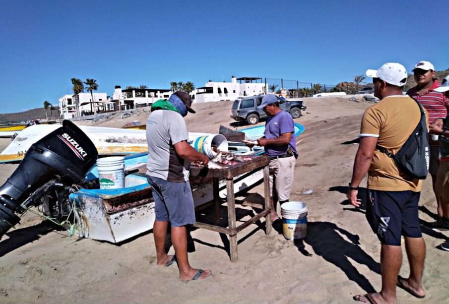 Pescadores reciben Seguro de Vida en BCS