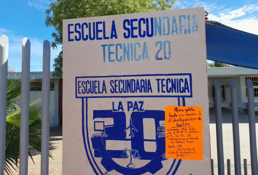 Secundaria Técnica 20