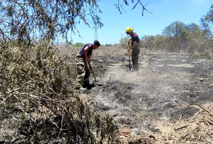 Bomberos sofocando incendio forestal en el rancho La Esperanza.