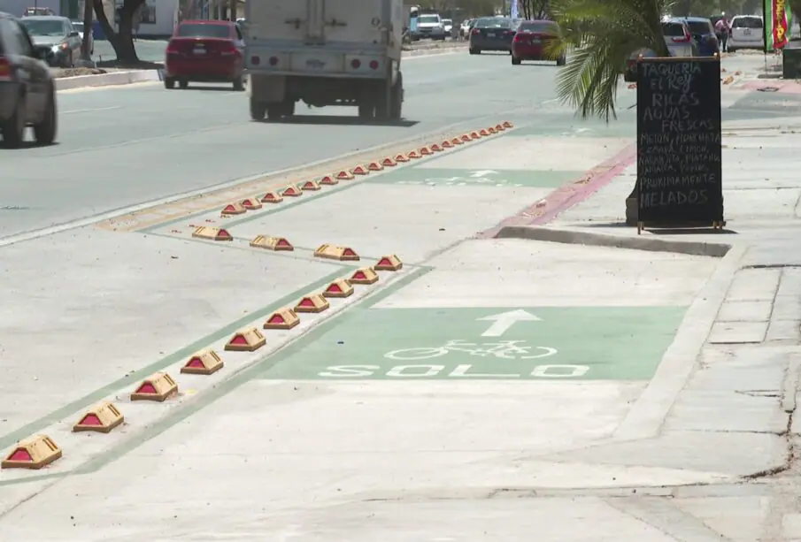 Ciclovía y banqueta de Pino Pallas.