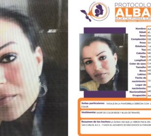 Ficha de búsqueda de Alejandra Angulo Valenzuela.