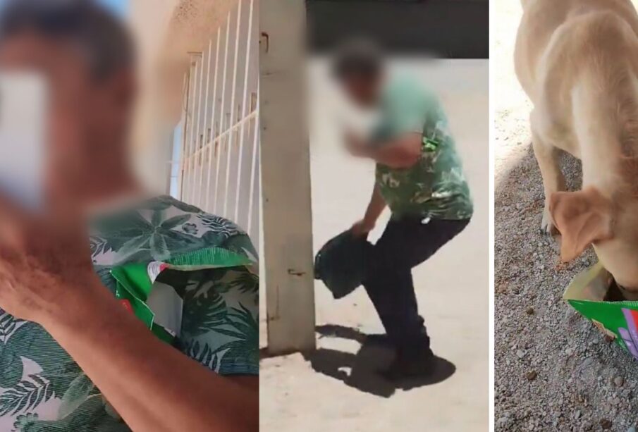 Hombre alimentando a perros cerca de la Capilla Templo de los Arcángeles.