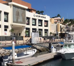 Negocios frente a la Marina de Cabo San Lucas.