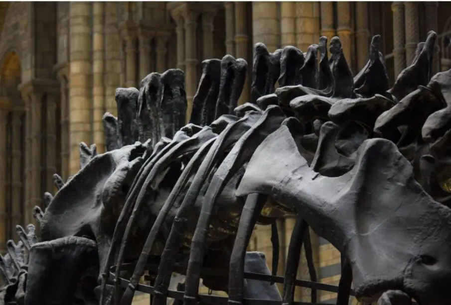 Dinosaurio