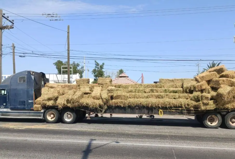 Pacas de alfalfa de tráiler en las inmediaciones del puente Mano Amiga en La Paz.