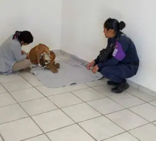 La Paz