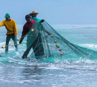 Pescadores con redes