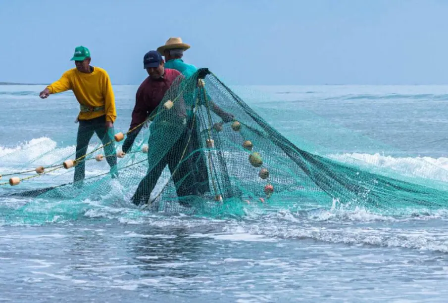 Pescadores con redes