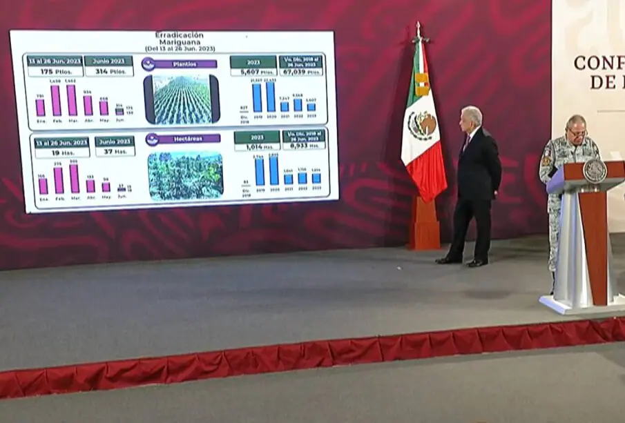 Reporte de decomiso de drogas