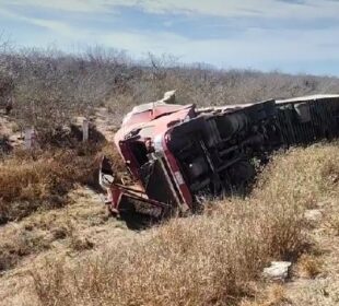 Trailer volcado en pastizal