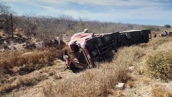 Trailer volcado en pastizal