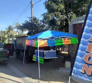 Vigilancia a vendedores de mariscos en Los Cabos