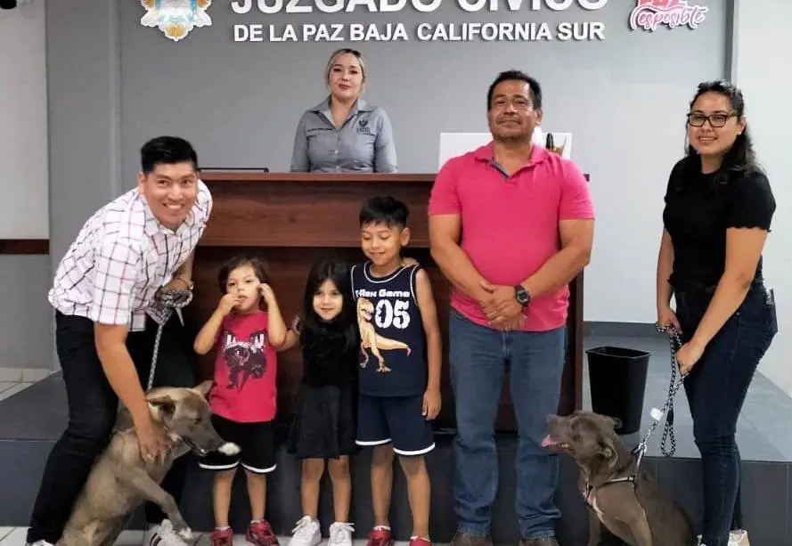 Juzgado cívico de La Paz