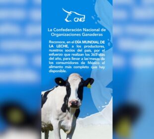 Día Mundial de la Leche