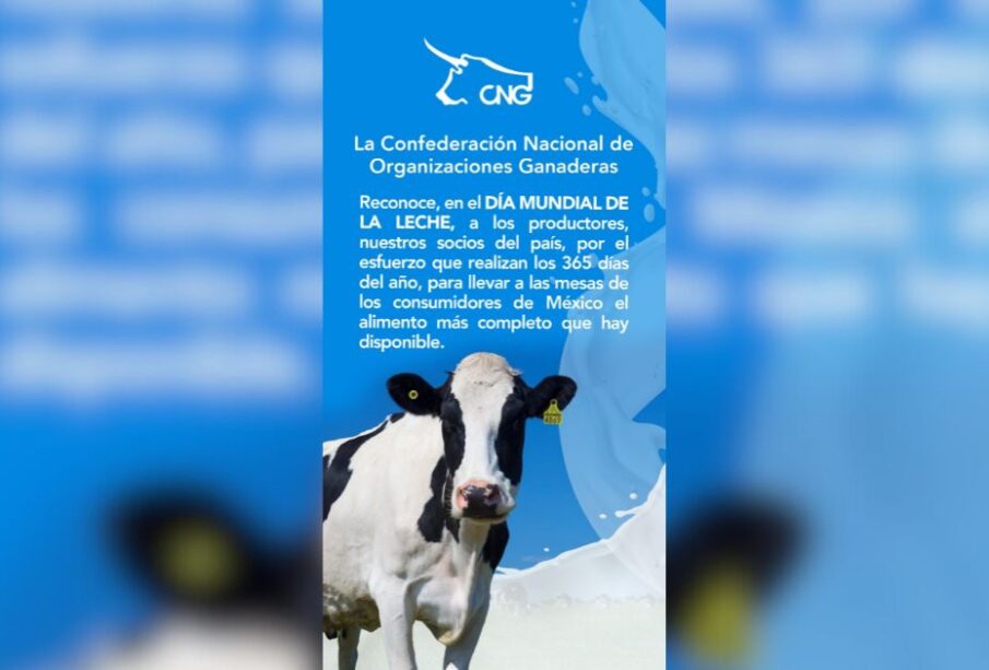 Día Mundial de la Leche