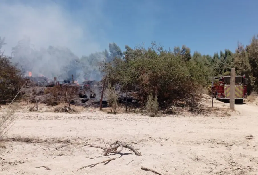 incendio en predio de Animas Bajas