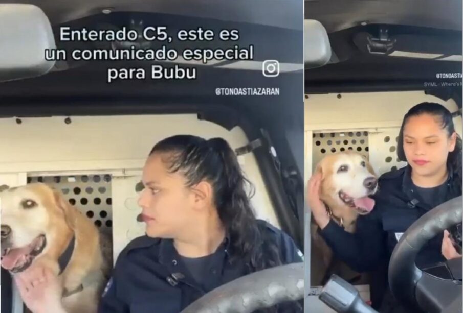 Perro policía