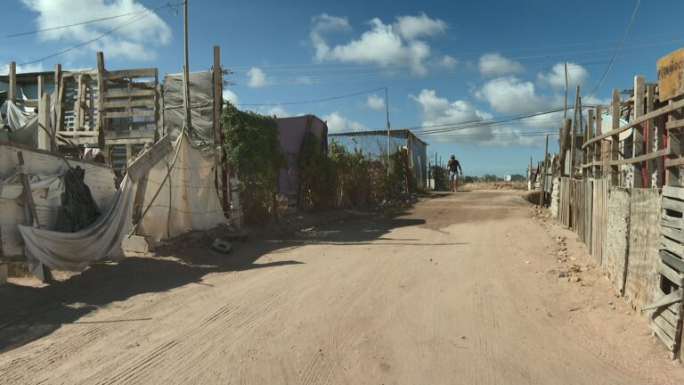 viviendas en colonia López Obrador