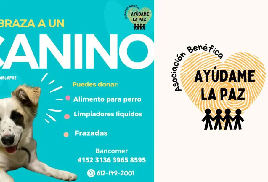 Asociación Ayúdame La Paz busca donaciones