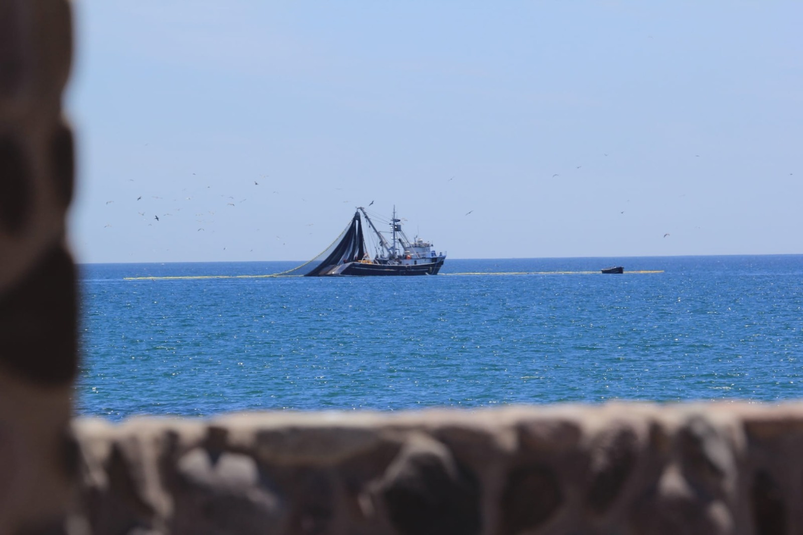 Barcos pescadores ilegales de especies marinas en Baja California Sur