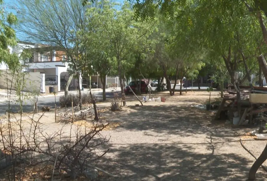 Basura acumulada y ramas secas en el parque en Villas del Encanto