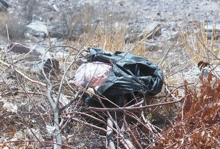 Bolsa de basura negra en fosa clandestina de perros.