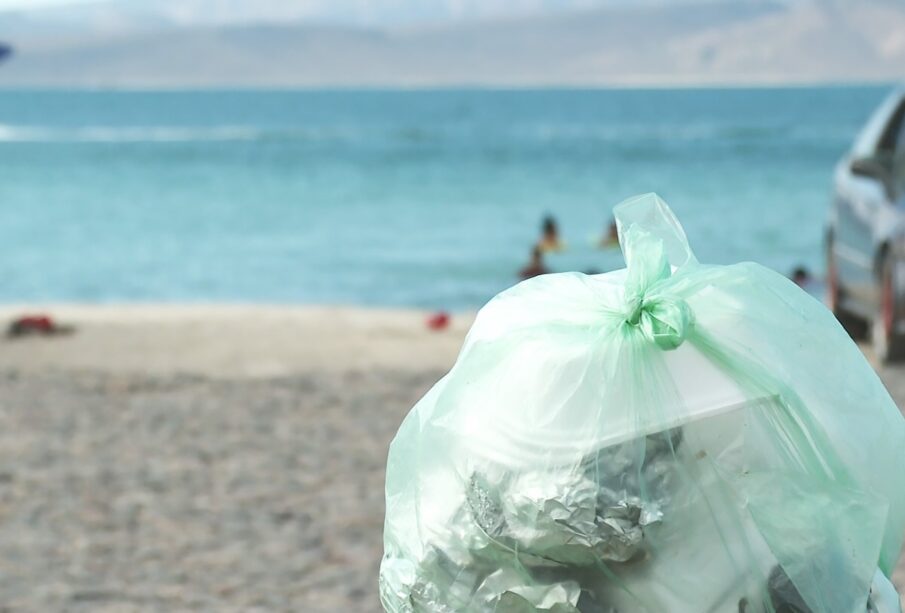 Bolsas de basura en la playa