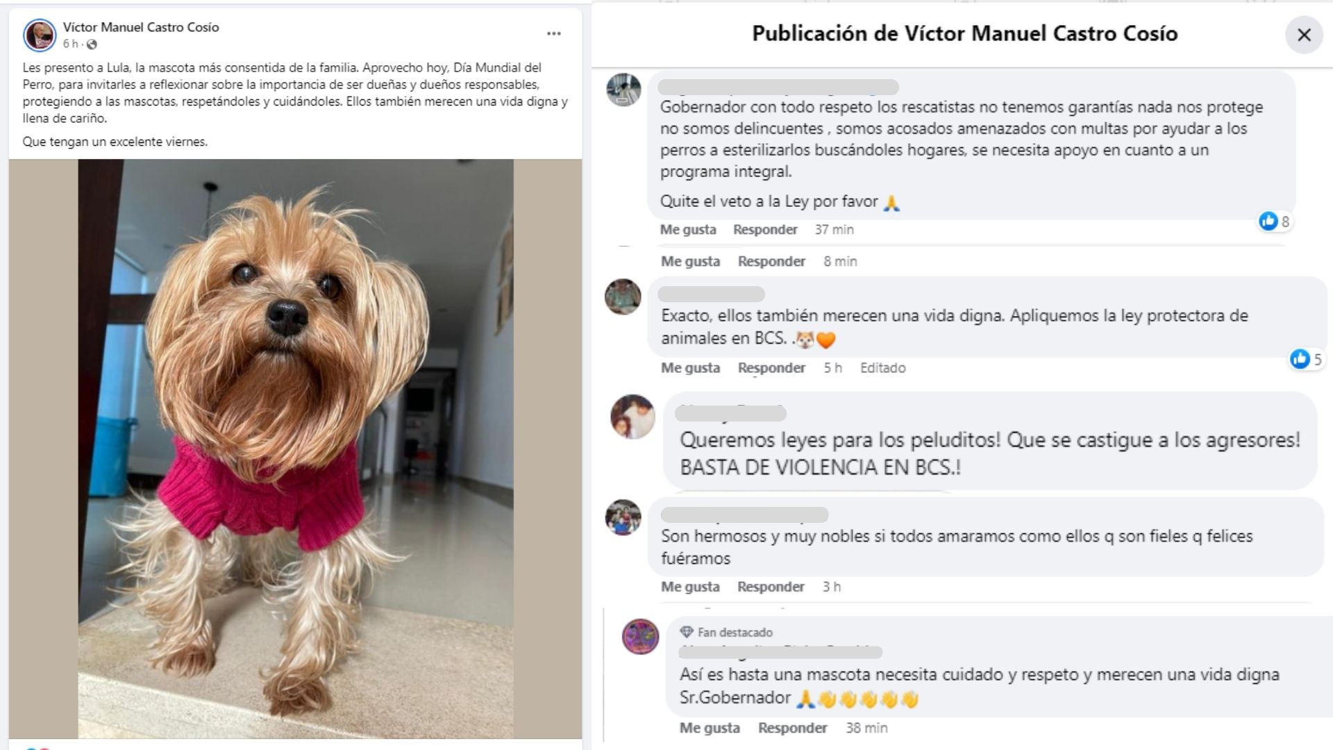 Publicación de Víctor Castro Cosío sobre el Día del Perro.