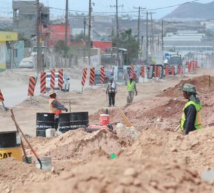 Trabajadores en la obra de la calle Nicolás Tamaral en Cabo San Lucas.