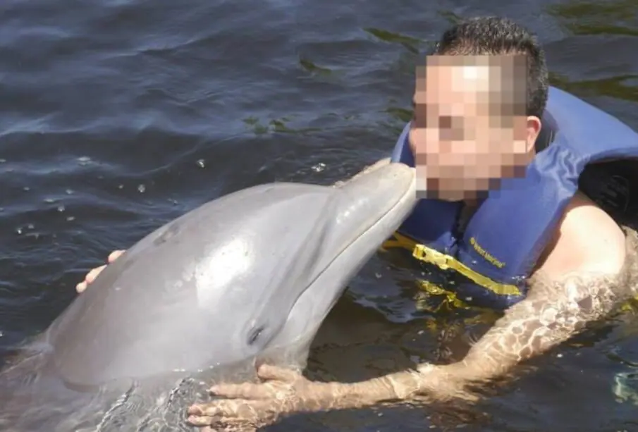 Turista nadando con un delfín en cautiverio.