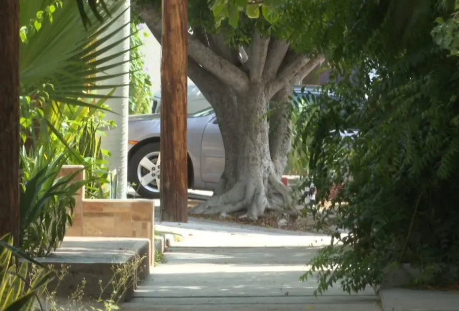 Vehículo estacionado a mitad de la banqueta con un árbol y un poste obstruyendo el paso peatonal en calles de La Paz.