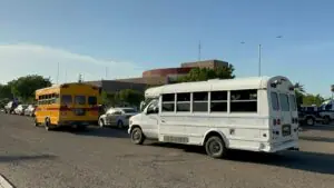 Acarreados de Adán Augusto en BCS
