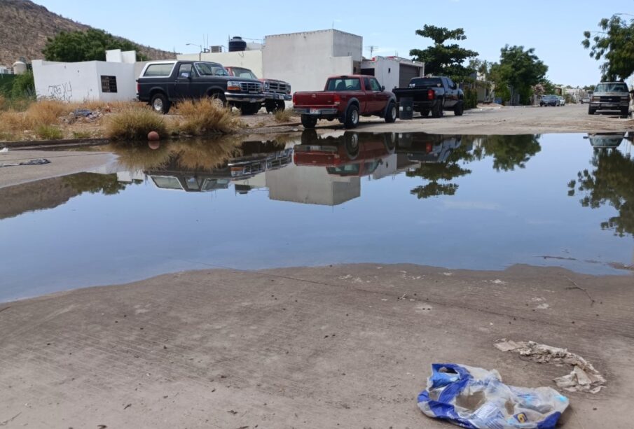 Charco de aguas negras