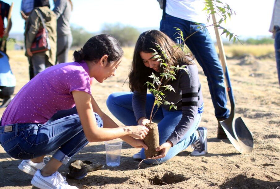 alumnos sembrando árbol