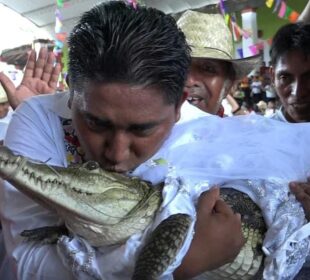 Alcalde de Oaxaca besando a un caimán hembra